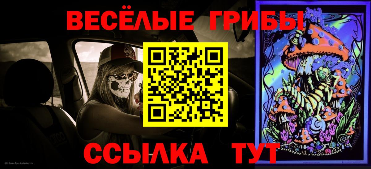 Псилоцибиновые грибы мицелий Сергиев Посад